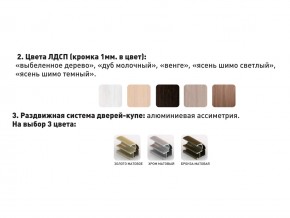 Шкаф-купе Акцент-Сим Д 1200-600 шимо светлый в Ижевске - izhevsk.magazinmebel.ru | фото - изображение 3